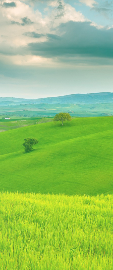Ecofields